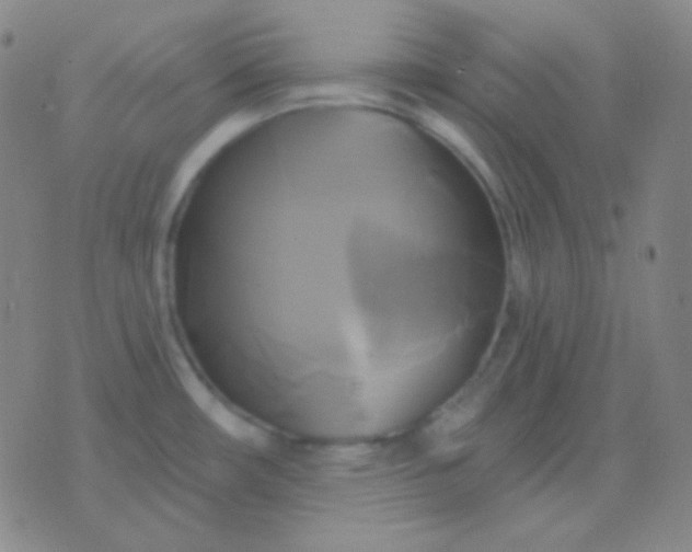 X0000076381482200610202027