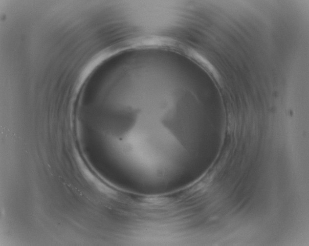 X0000076381483200610202027