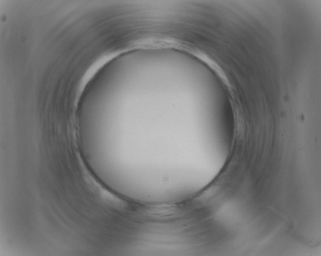 X0000076381486200610202027