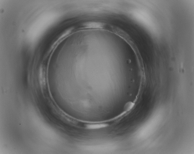 X0000076381487200610202027