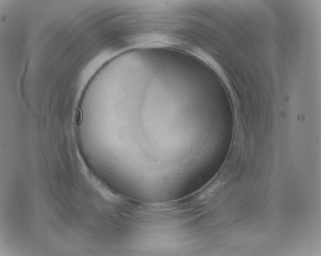 X0000076381488200610202027