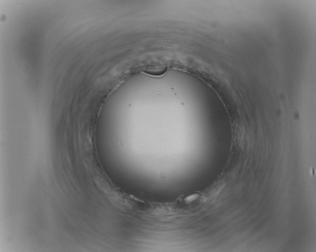 X0000076381489200610202026