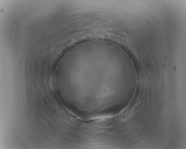 X0000076381490200610202026