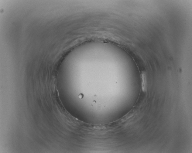 X0000076381491200610202026