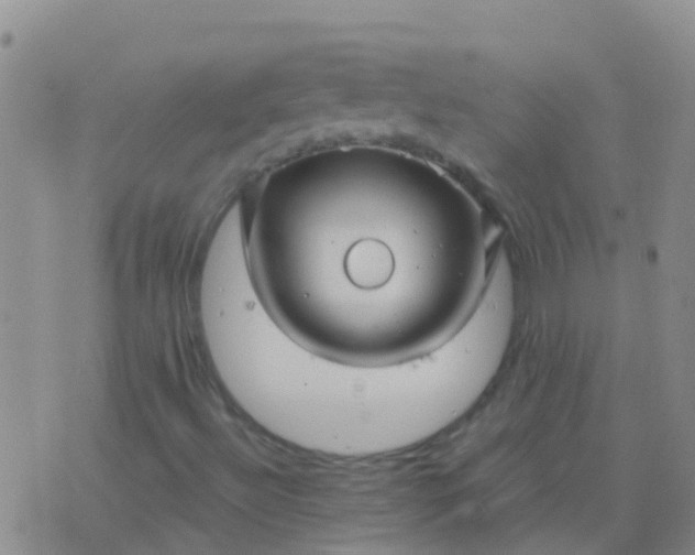 X0000076381492200610202026