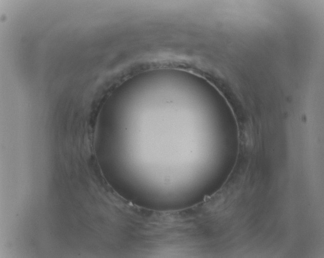 X0000076381493200610202026