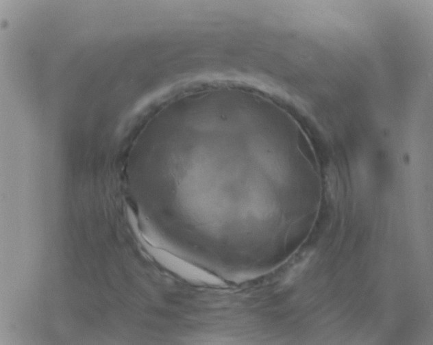 X0000076381494200610202026