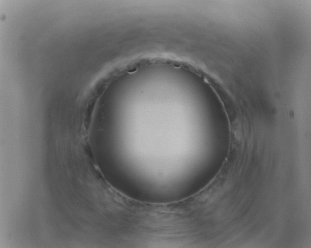 X0000076381495200610202026