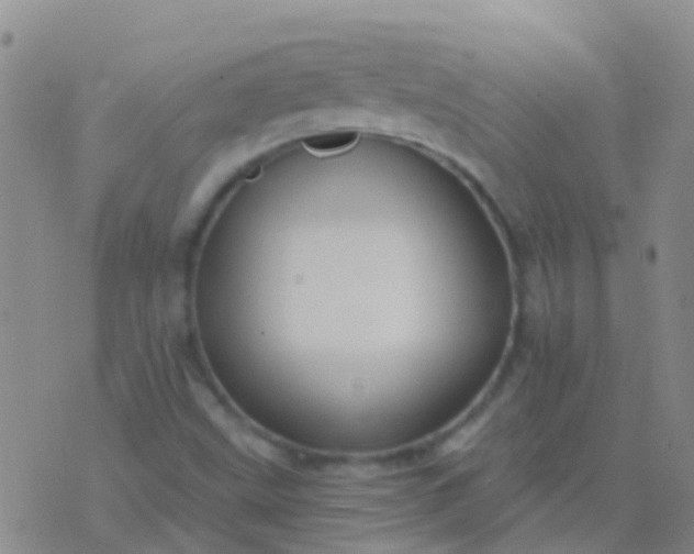 X0000076381499200610202026