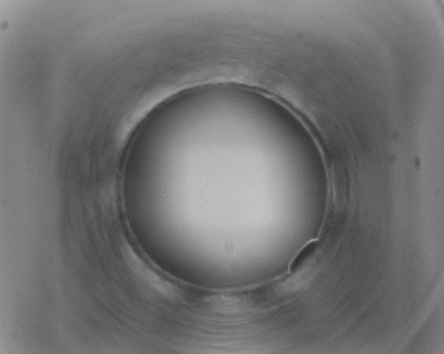 X0000076381500200610202026