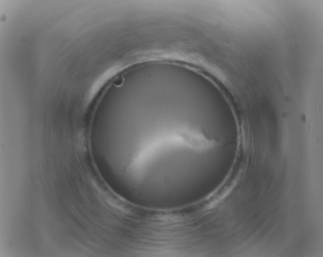 X0000076381501200610202026