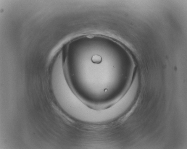 X0000076381502200610202026