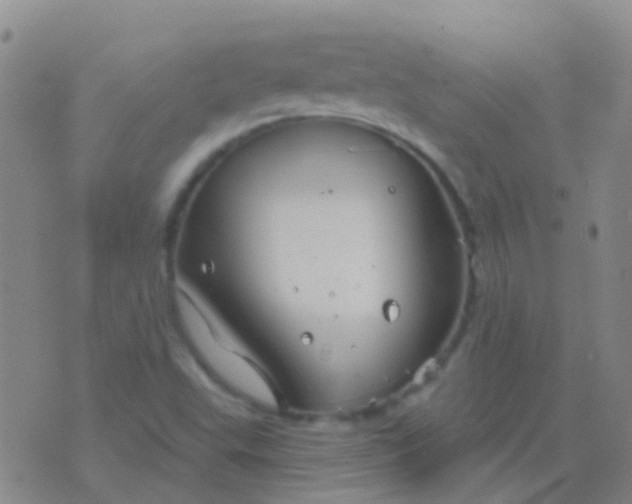 X0000076381503200610202026