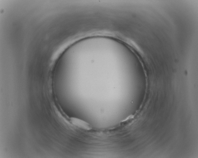 X0000076381504200610202026