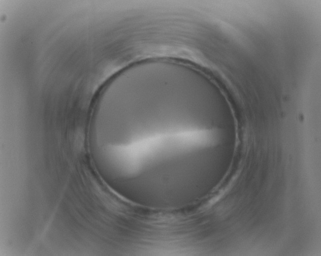 X0000076381505200610202026