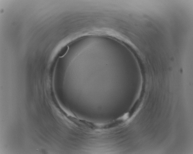 X0000076381506200610202026