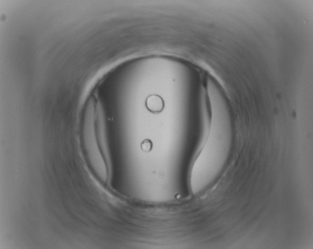 X0000076381508200610202026