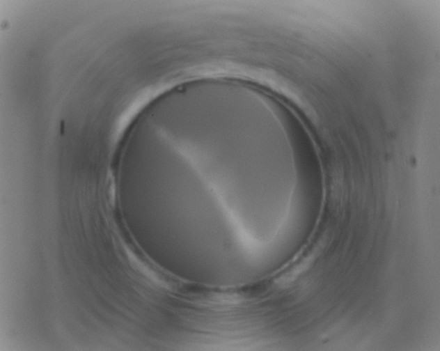 X0000076381509200610202026