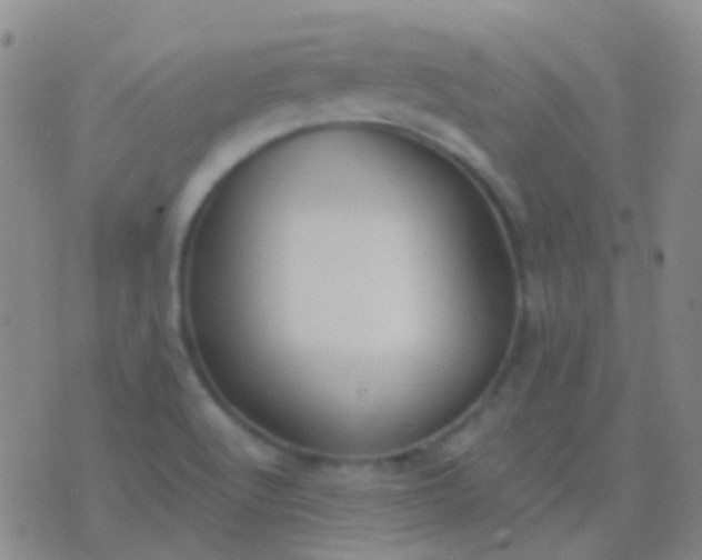 X0000076381512200610202026