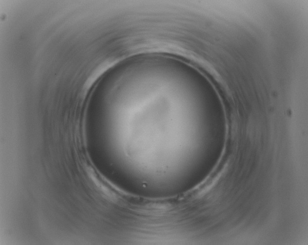 X0000076381513200610202026