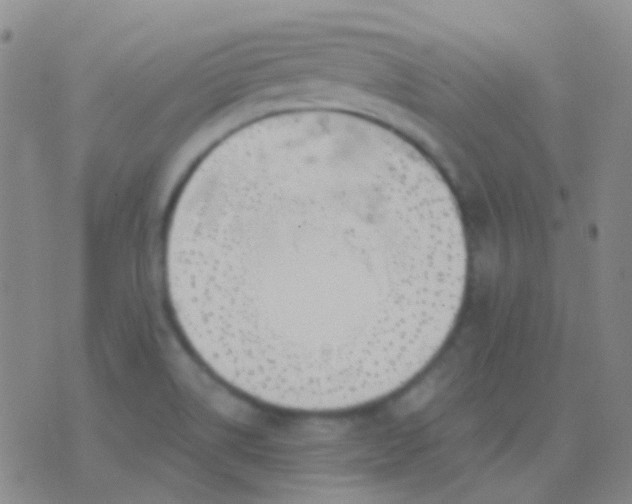 X0000076381514200610202026