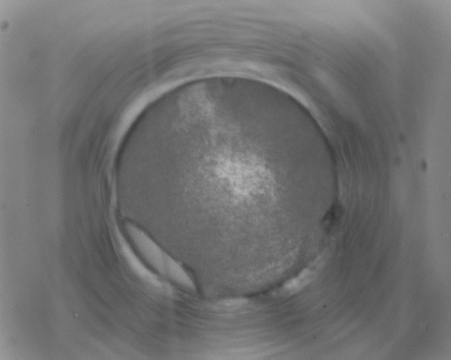 X0000076381515200610202026