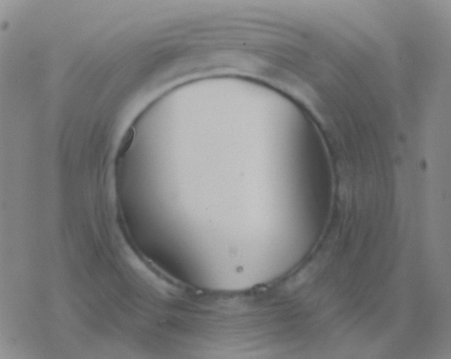 X0000076381516200610202026