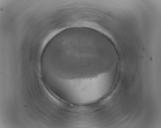 X0000076381517200610202026