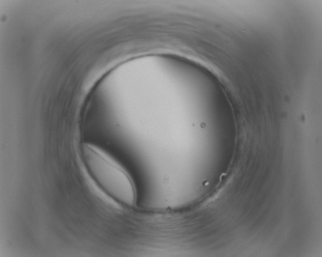 X0000076381518200610202026