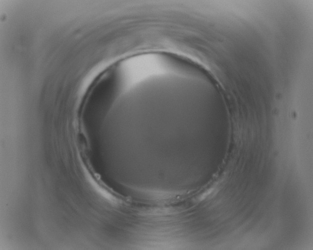 X0000076381519200610202026