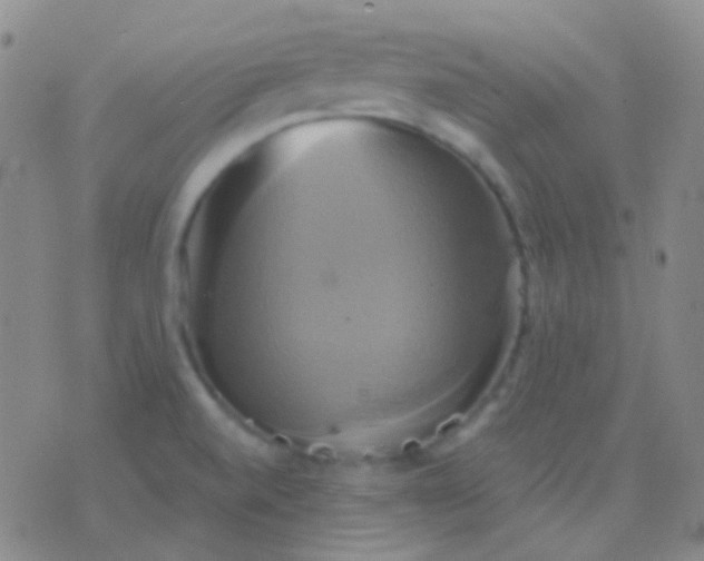 X0000076381520200610202026