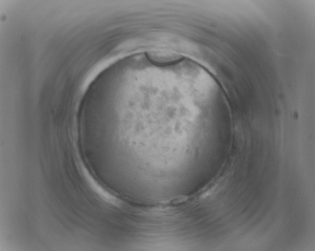 X0000076381523200610202026