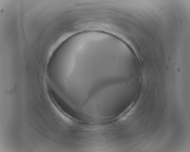 X0000076381525200610202026