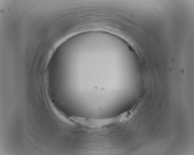 X0000076381526200610202026