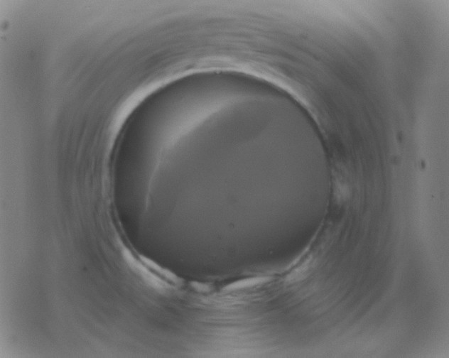 X0000076381527200610202026