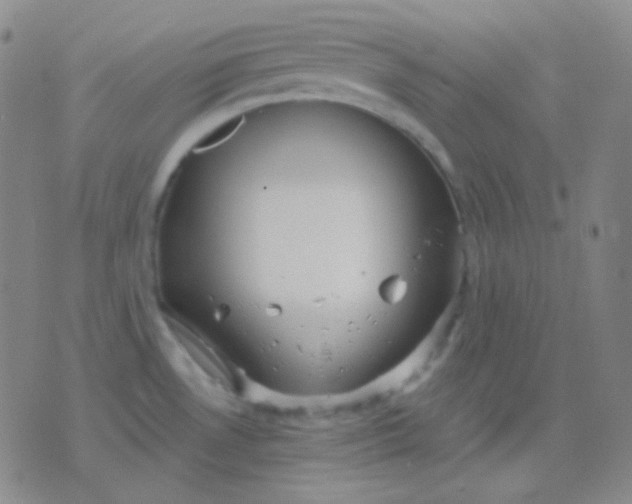 X0000076381530200610202027