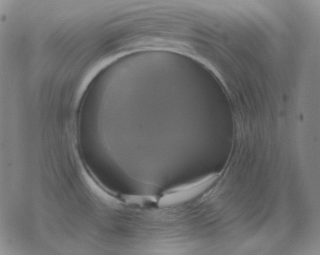 X0000076381531200610202027