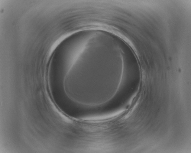 X0000076381533200610202027