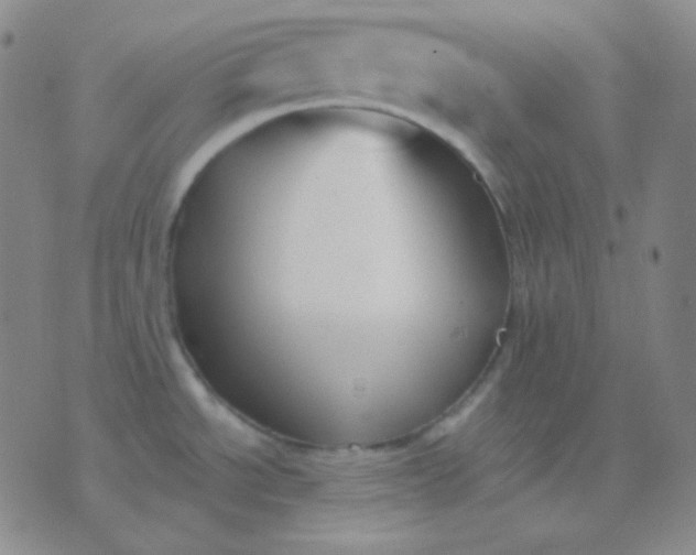 X0000076381534200610202027