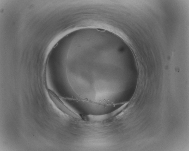 X0000076381536200610202027