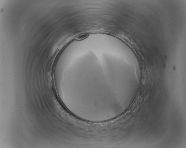 X0000076380002200610271539