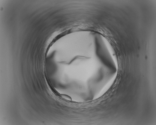 X0000076380003200610271539