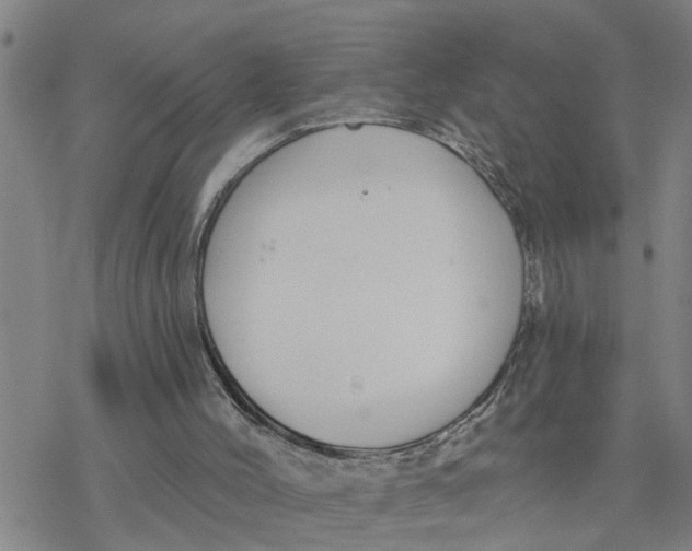 X0000076380004200610271539