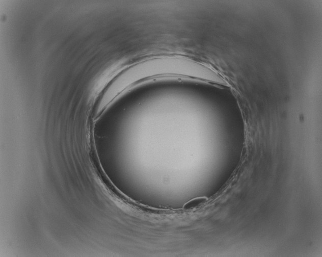 X0000076380005200610271539