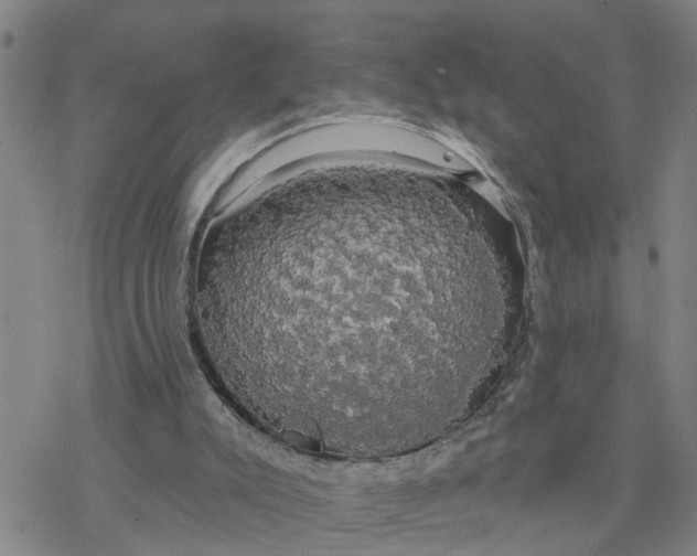 X0000076380007200610271539