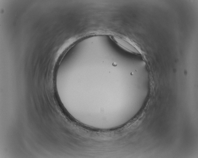 X0000076380008200610271539