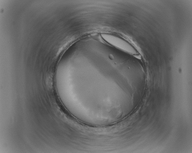 X0000076380010200610271539