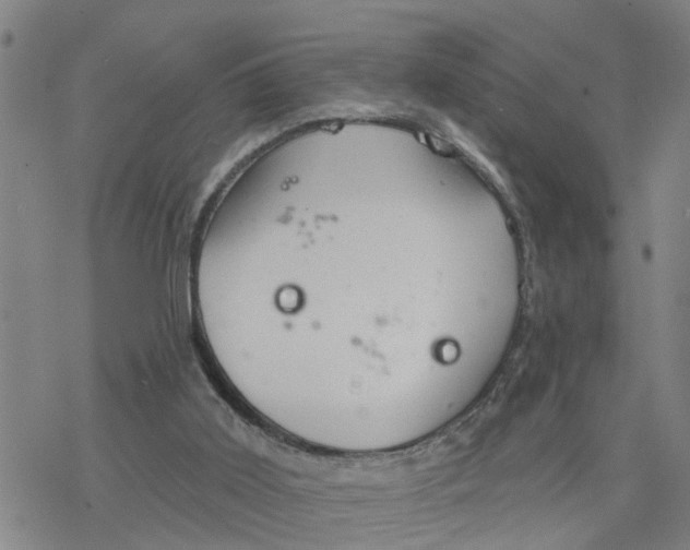 X0000076380011200610271539