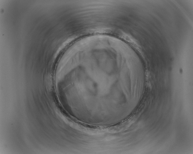 X0000076380012200610271539