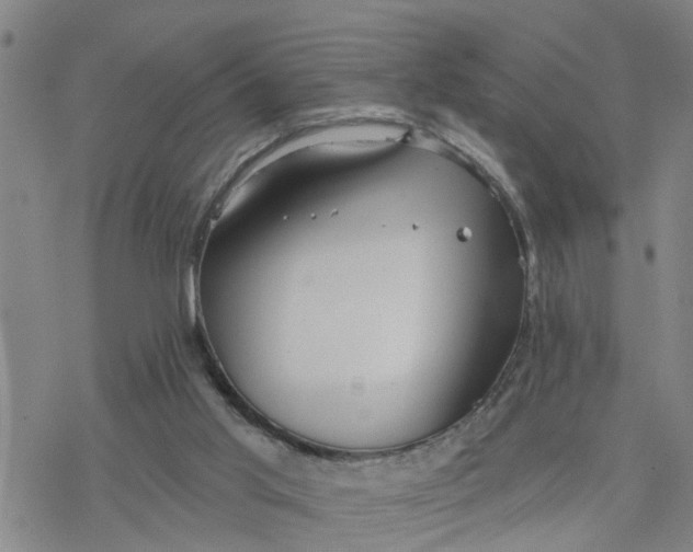 X0000076380013200610271539